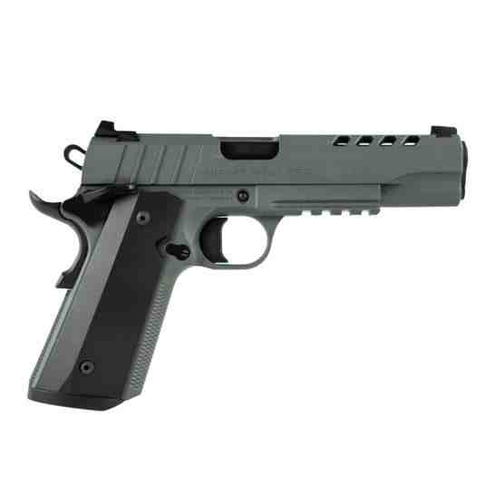 Tisas Night Stalker 5" 8rd 10mm Pistol, Platinum Gray