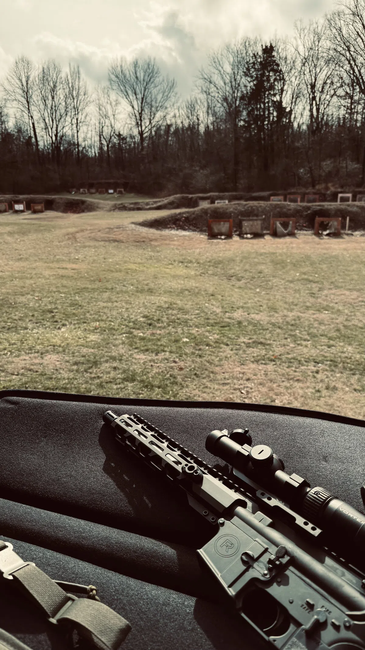 Budget AR15's